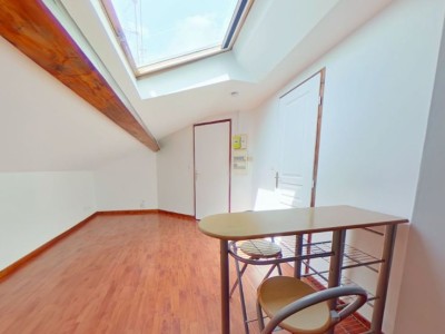 APPARTEMENT T1 A LOUER - VILLEURBANNE - 13,96 m2 - 390,44 € charges comprises par mois