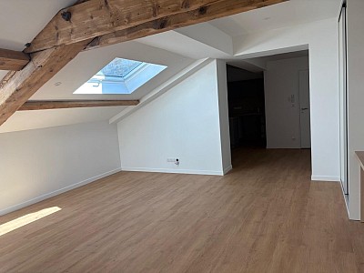 APPARTEMENT T2 A LOUER - LYON 6EME ARRONDISSEMENT Puvis de Chavannes - 52.67 m2 - 1290€ charges comprises par mois