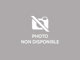 APPARTEMENT T4 A LOUER - LYON 1ER ARRONDISSEMENT Terreaux-Bat-d-Argent - 73.99 m2 - 1 335 € charges comprises par mois