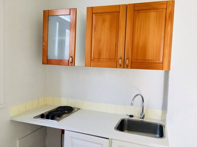 APPARTEMENT T1 A LOUER - VILLEURBANNE - 31.81 m2 - 522 € charges comprises par mois