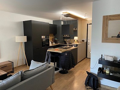 APPARTEMENT T2 A LOUER - CHAMPAGNE AU MONT D OR Contour - 45.26 m2 - 1040€ charges comprises par mois