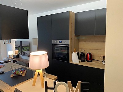 APPARTEMENT T2 A LOUER - CHAMPAGNE AU MONT D OR Contour - 45.26 m2 - 1040€ charges comprises par mois
