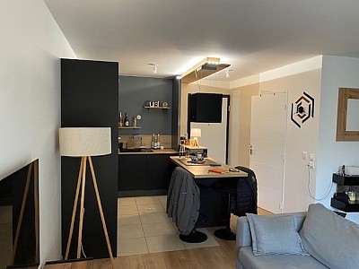APPARTEMENT T2 A LOUER - CHAMPAGNE AU MONT D OR Contour - 45.26 m2 - 1040€ charges comprises par mois