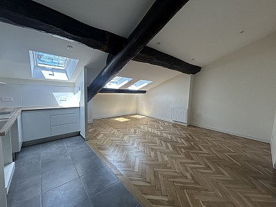 APPARTEMENT T2 A LOUER - LYON 2EME ARRONDISSEMENT Merciere-Grolee - 51.48 m2 - 920 &euro; charges comprises par mois