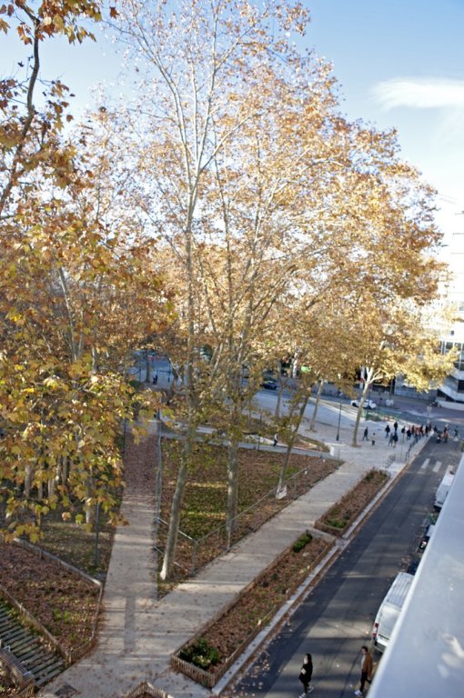 APPARTEMENT T2 A LOUER - LYON 3EME ARRONDISSEMENT Danton-Bir Akeim - 58.81 m2 - 1�190�&euro; charges comprises par mois