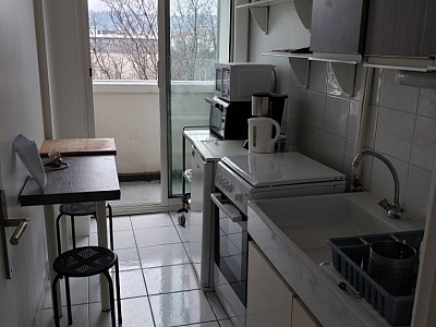 APPARTEMENT T2 A LOUER - LYON 7EME ARRONDISSEMENT - 42.19 m2 - 894,11€ charges comprises par mois