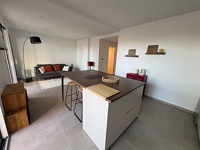 APPARTEMENT T2 A LOUER - ST DIDIER AU MONT D OR Centre et Sud Est - 49.52 m2 - 1 300 € charges comprises par mois