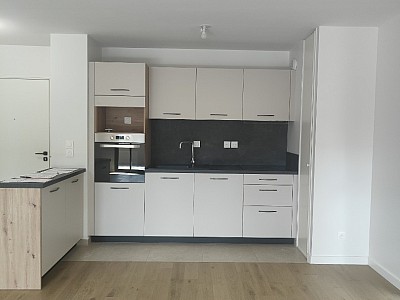 APPARTEMENT T3 A LOUER - ECULLY Pole Enseignement-Recherche - 74.18 m2 - 1750€ charges comprises par mois