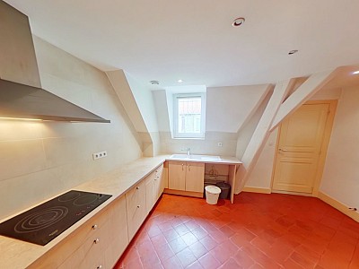 APPARTEMENT T3 A LOUER - LYON 1ER ARRONDISSEMENT Griffon-Royale - 107.75 m2 - 1 475 € charges comprises par mois