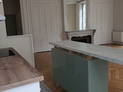 APPARTEMENT T4 A LOUER - LYON 6EME ARRONDISSEMENT Puvis de Chavannes - 119.95 m2 - 2045€ charges comprises par mois